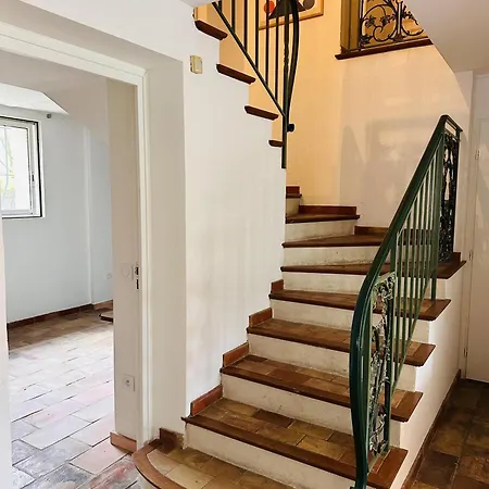 Villa A Lovely Large With A Big Swimming Pool And Gardens In A Calm Area Of - 1921 Cannes